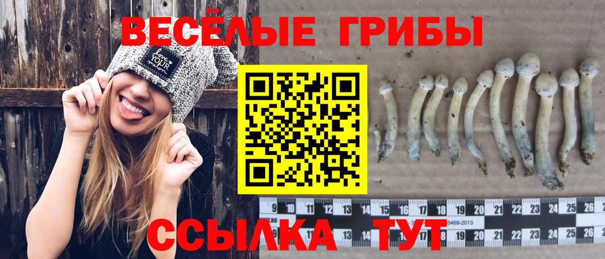 Галлюциногенные грибы мицелий Королёв